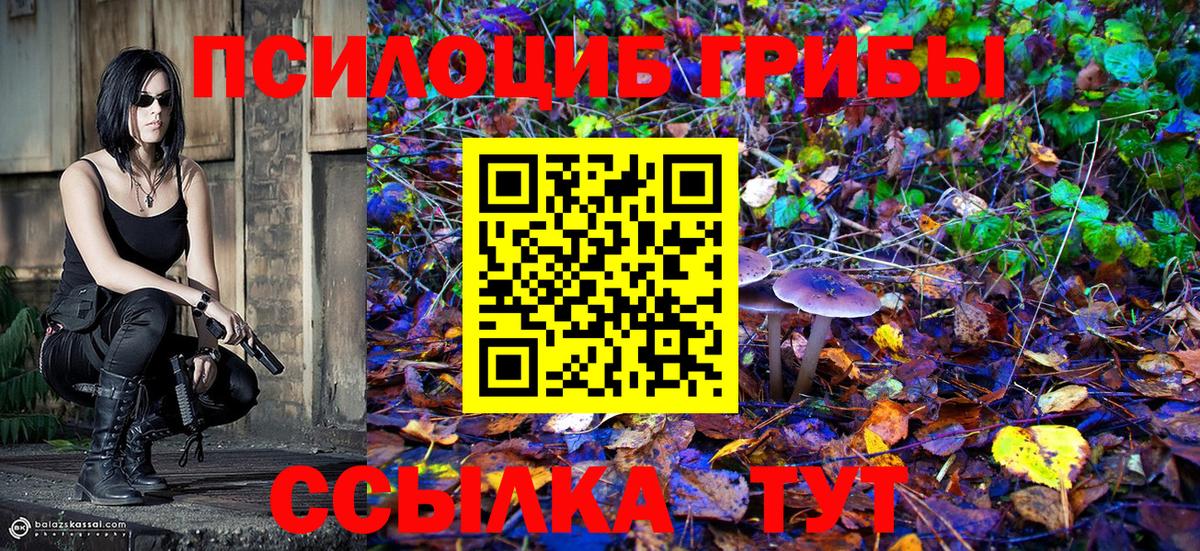 Учалы  Галлюциногенные грибы Psilocybe  Вход с VPN 