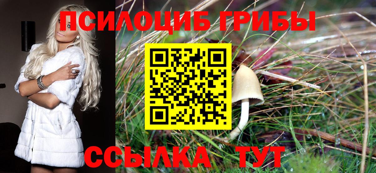 Псилоцибиновые грибы Magic Shrooms Учалы